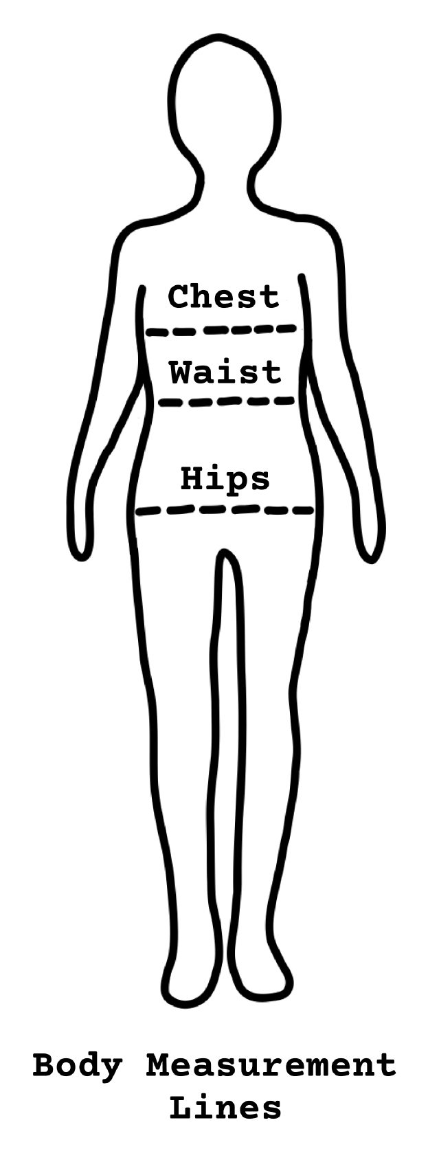 Hand-drawn illustration of chest, waist and hip measurement lines on a body